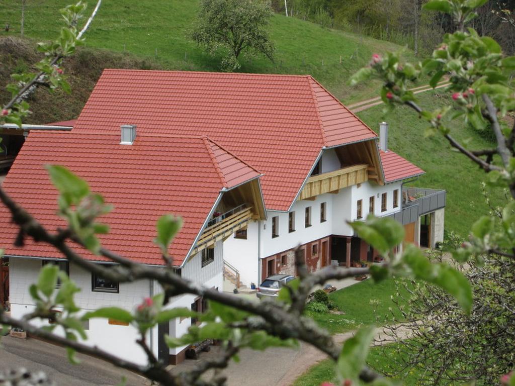 Stinneshof Oberharmersbach Exterior photo