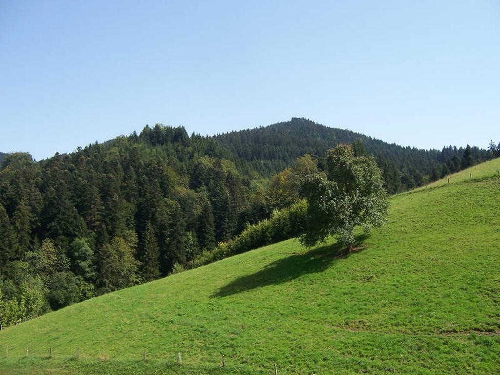 Stinneshof Oberharmersbach Exterior photo