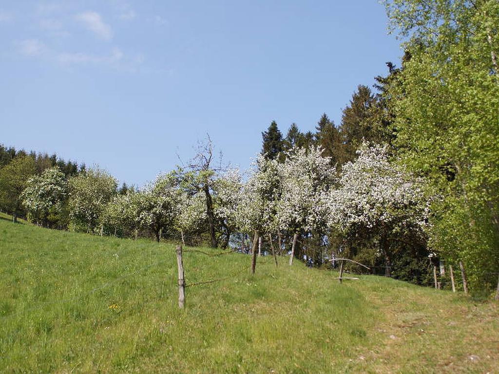 Stinneshof Oberharmersbach Exterior photo