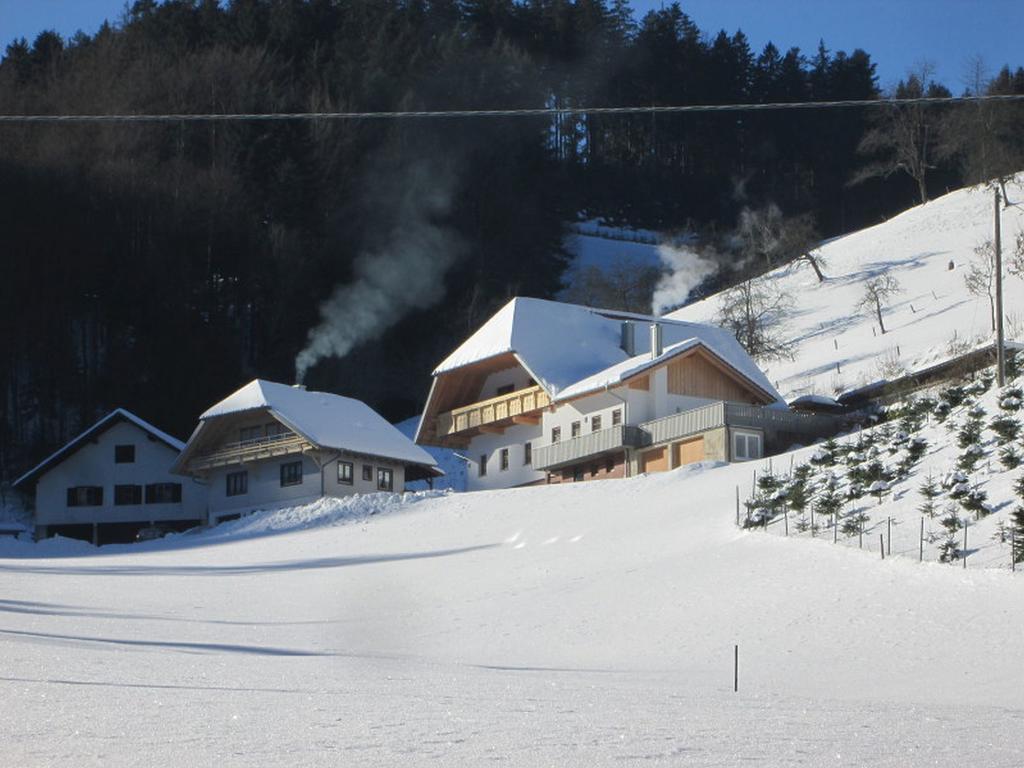 Stinneshof Oberharmersbach Exterior photo