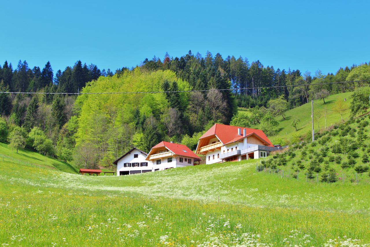 Stinneshof Oberharmersbach Exterior photo